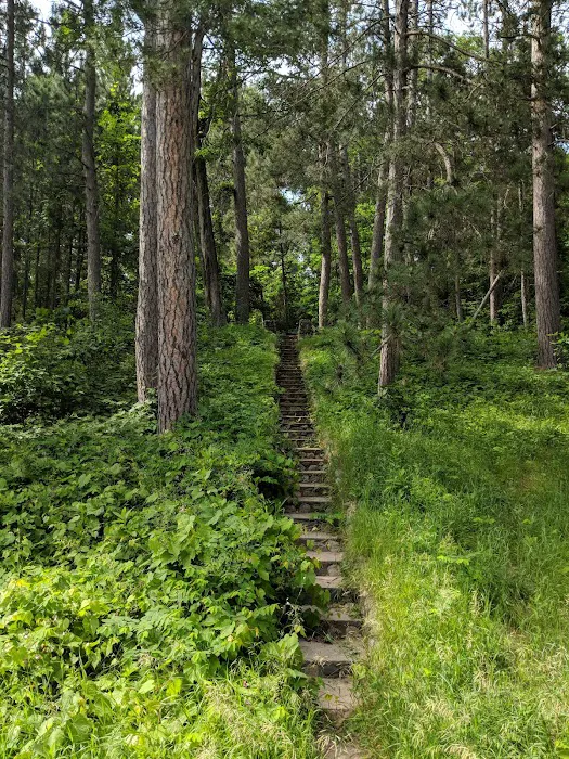 Sandy Lake Dnr Forestry Department 8