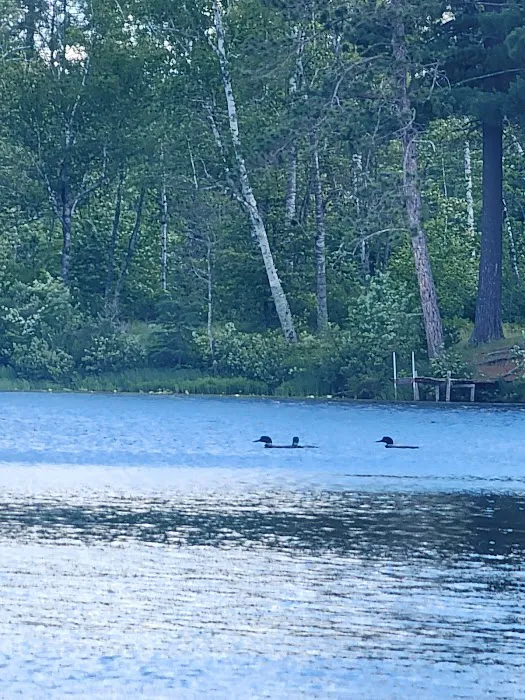 Boot Lake Camp 6