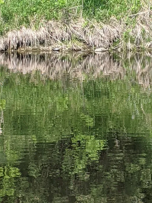 Rock River Park and Campground 6