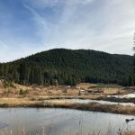 Wideawake Ranch & Waterhouse