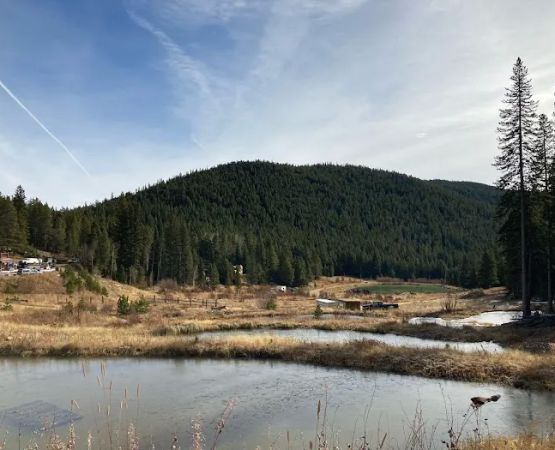 Wideawake Ranch & Waterhouse