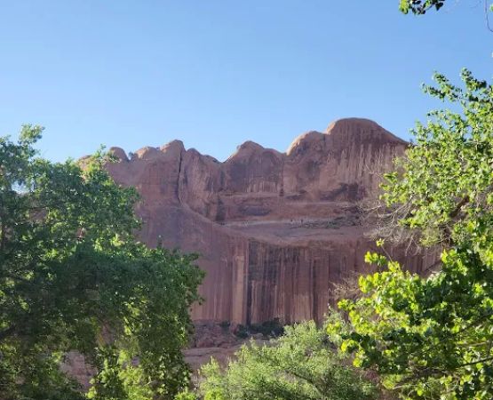 Moonflower Canyon