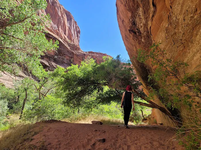 Moonflower Canyon 3