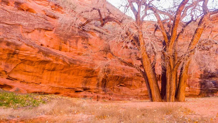 Moonflower Canyon 4