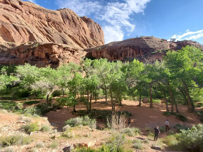 Moonflower Canyon 1