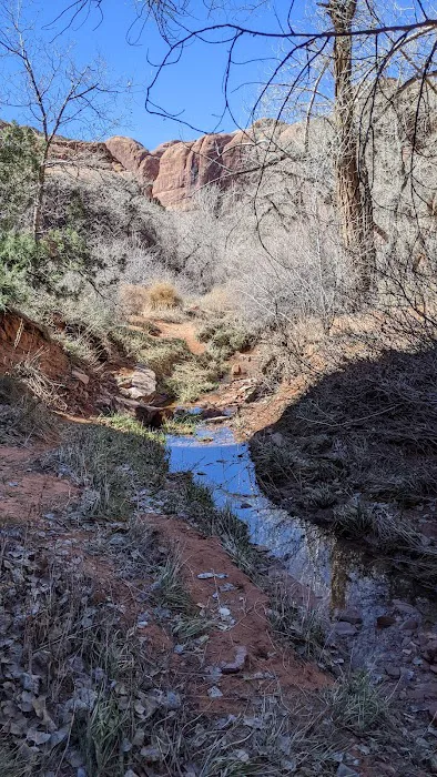 Moonflower Canyon 8