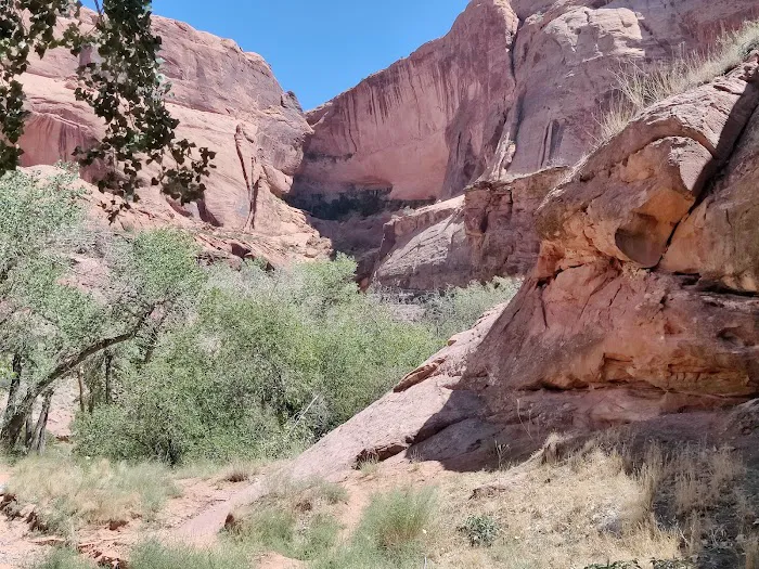 Moonflower Canyon 6