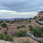 Island in the Sky (Willow Flat) Campground