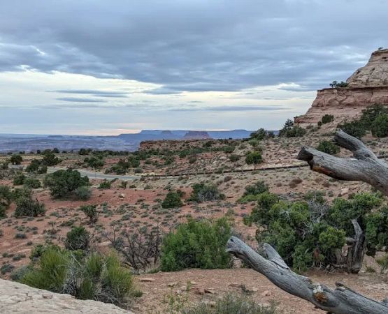 Island in the Sky (Willow Flat) Campground