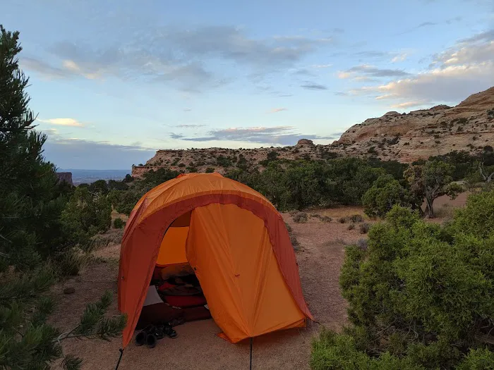 Island in the Sky (Willow Flat) Campground 1