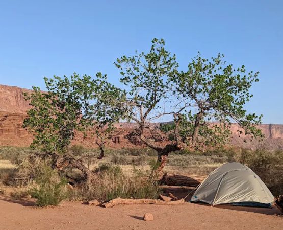 Potato Bottom Campground B