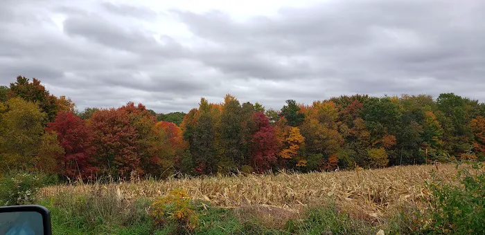 Smith Grove Campground 4