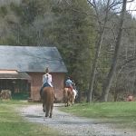 Maranatha Youth Ranch & Bible