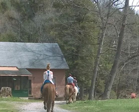 Maranatha Youth Ranch & Bible