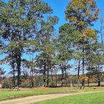 Countryside Campground LLC