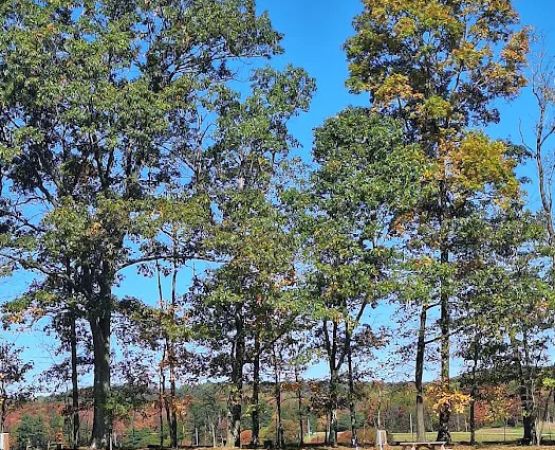 Countryside Campground LLC