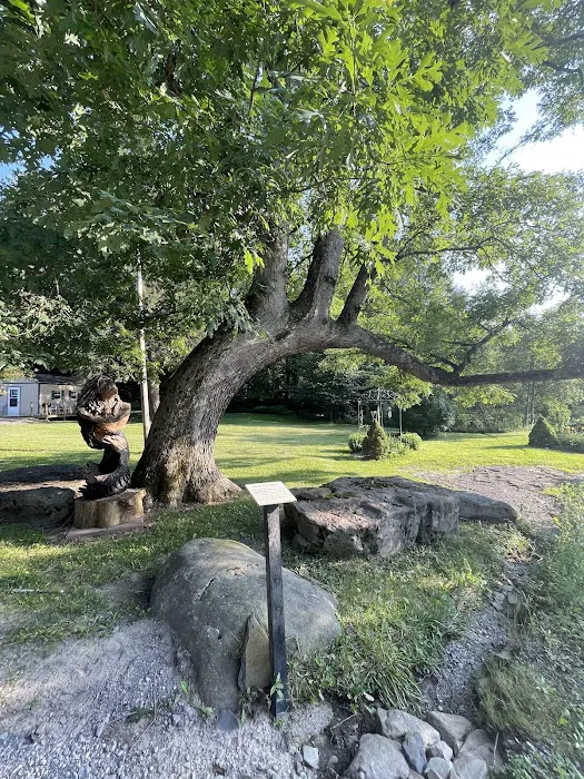 Woodland Campground 3