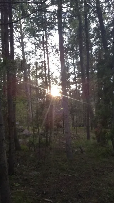 Meeks Cabin Campground 1