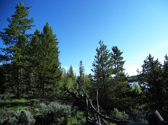 Meeks Cabin Campground 4