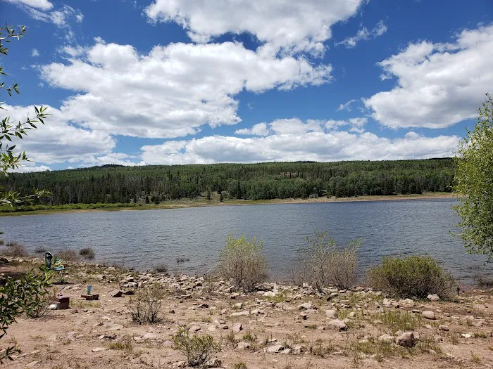 Meeks Cabin Campground 6