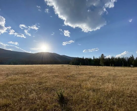 East Fork Black's Fork Campground