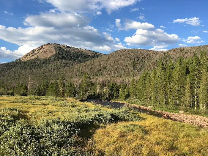 East Fork Black's Fork Campground 3
