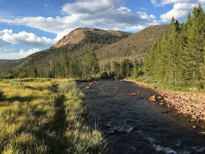 East Fork Black's Fork Campground 4