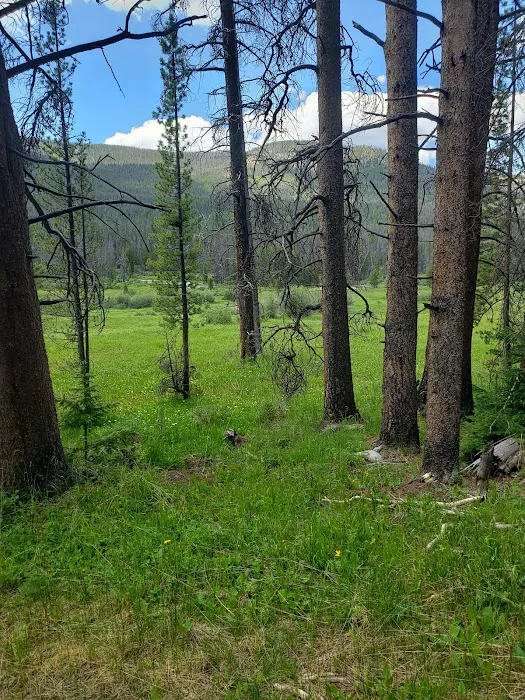 East Fork Black's Fork Campground 6