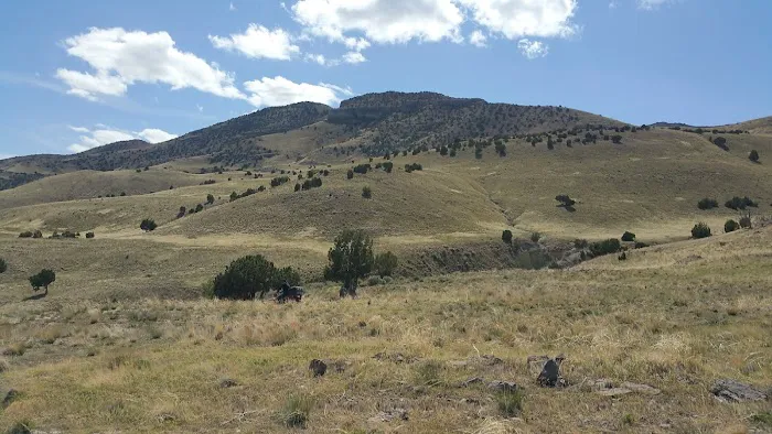 Delle Campsite 5
