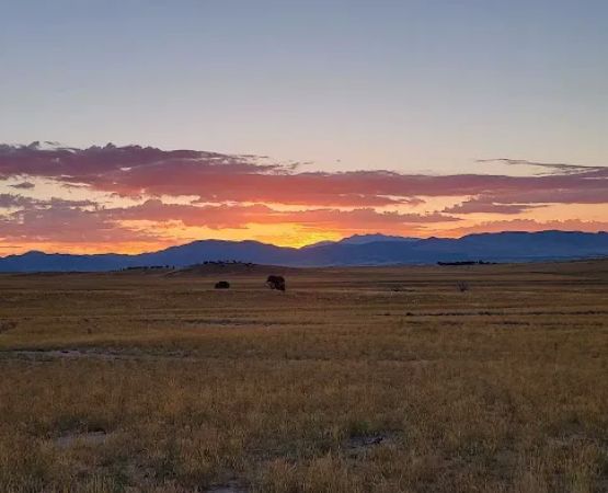 firebirds campground