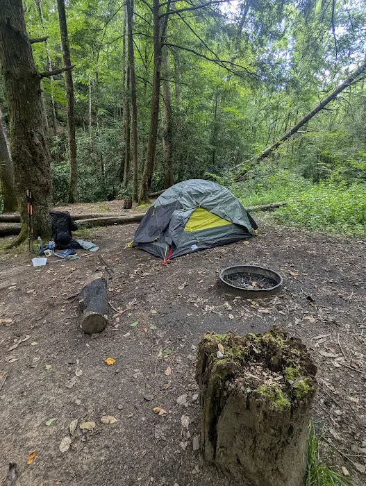 Backcountry Campsite #50 0