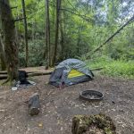 Backcountry Campsite #50