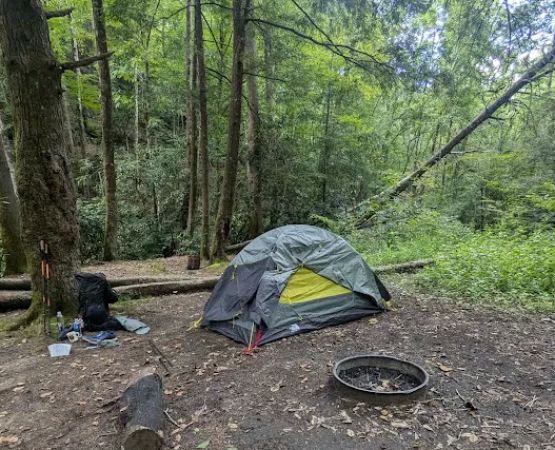 Backcountry Campsite #50