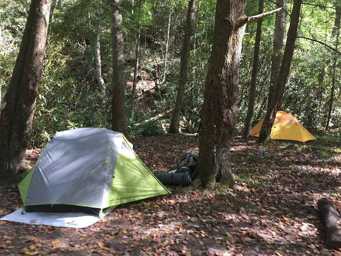 Backcountry Campsite #50 3