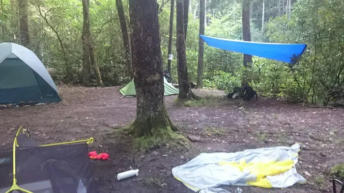 Backcountry Campsite #50 5