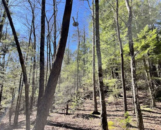 Backcountry Campsite #14