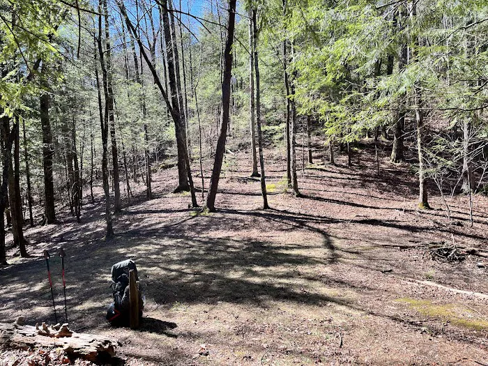 Backcountry Campsite #14 1
