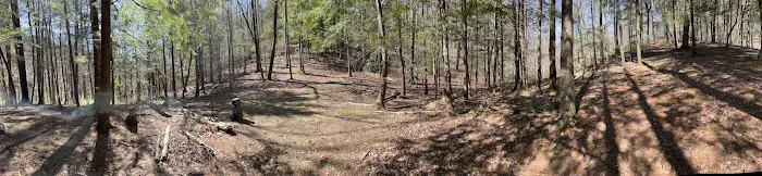 Backcountry Campsite #14 2