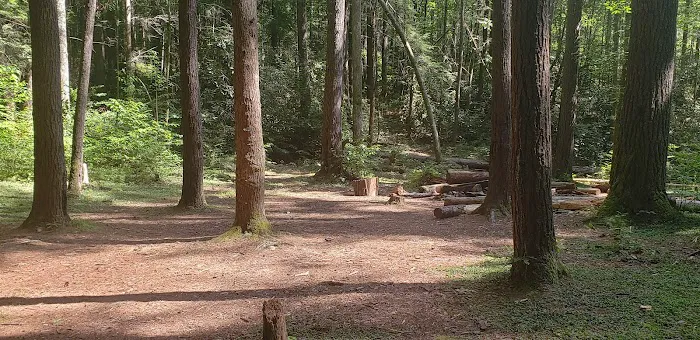 Backcountry Camp 15 0
