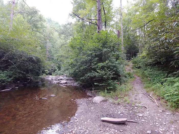 Backcountry Camp 15 4