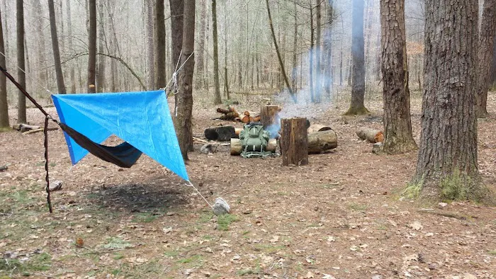 Backcountry Campsite 01 0