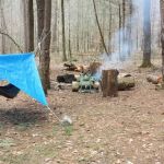 Backcountry Campsite 01