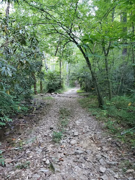 Backcountry Campsite 01 6