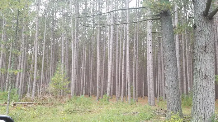 South Branch Trail Camp for the Shore to Shore Horseback and Hiking Trail 2