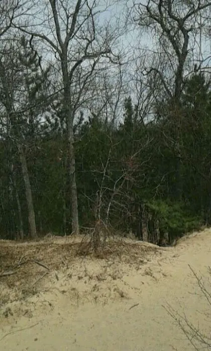 South Branch Trail Camp for the Shore to Shore Horseback and Hiking Trail 3