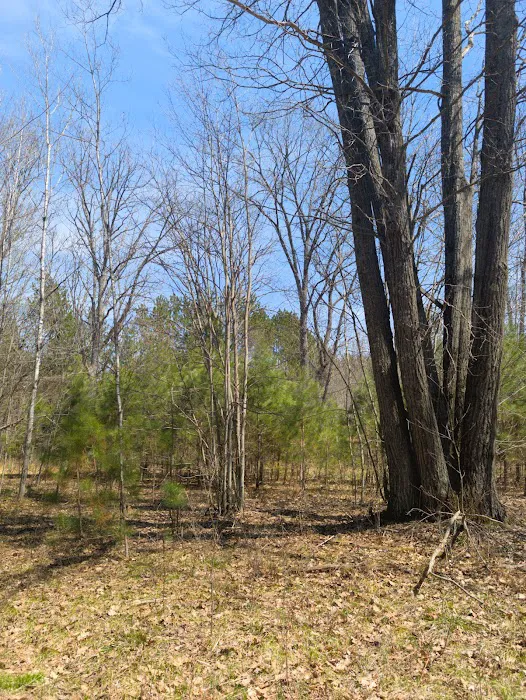 South Branch Trail Camp for the Shore to Shore Horseback and Hiking Trail 6