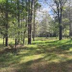 River Road Trail Horse Camp