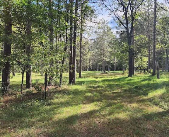 River Road Trail Horse Camp
