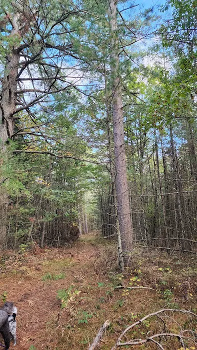 River Road Trail Horse Camp 3