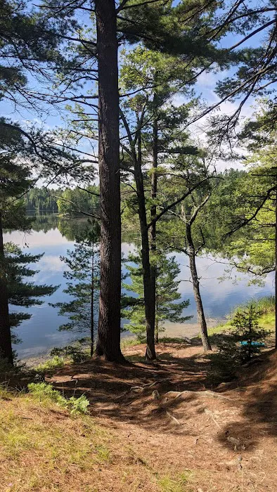 Au Sable River Camping Site 93D 4